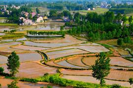 ��Ӱ֪ʶ֮����������Ӱ10��